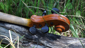 fiddle-002-109