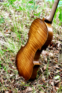 fiddle-006-0033