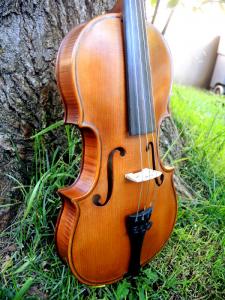 fiddle-np-01-20