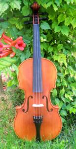fiddle-np-02-59