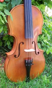 fiddle-np-02-60
