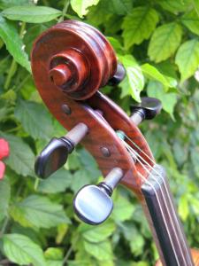 fiddle-np-02-66