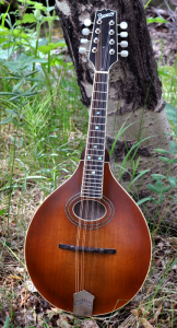 mandolin-a2-163-001