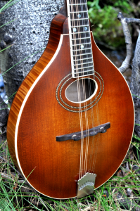 mandolin-a2-163-031
