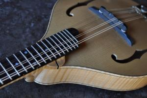 mandolin-a5-0088