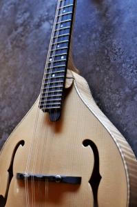 mandolin-a5-0098