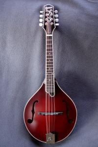 mandolin-a5-05625