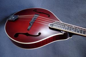 mandolin-a5-05639