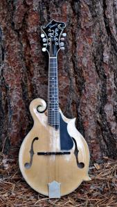 mandolin-f5-160-005