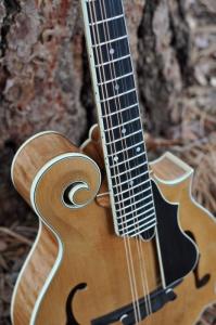 mandolin-f5-160-013