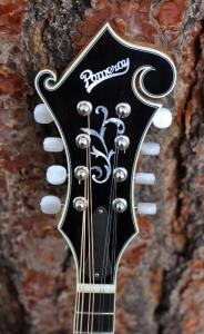 mandolin-f5-160-014