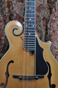 mandolin-f5-160-025