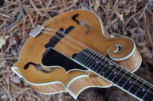 mandolin-f5-160-026