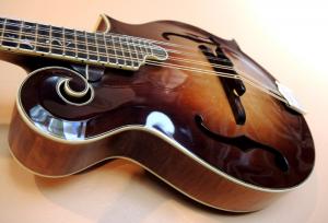 mandolin-f5-211-51