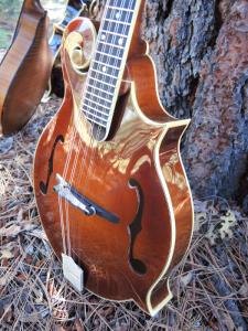 mandolin-f5-225-24