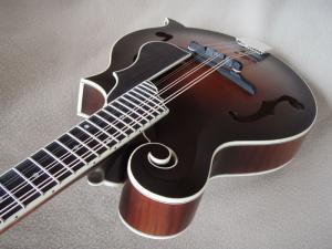 mandolin-f5-5230052